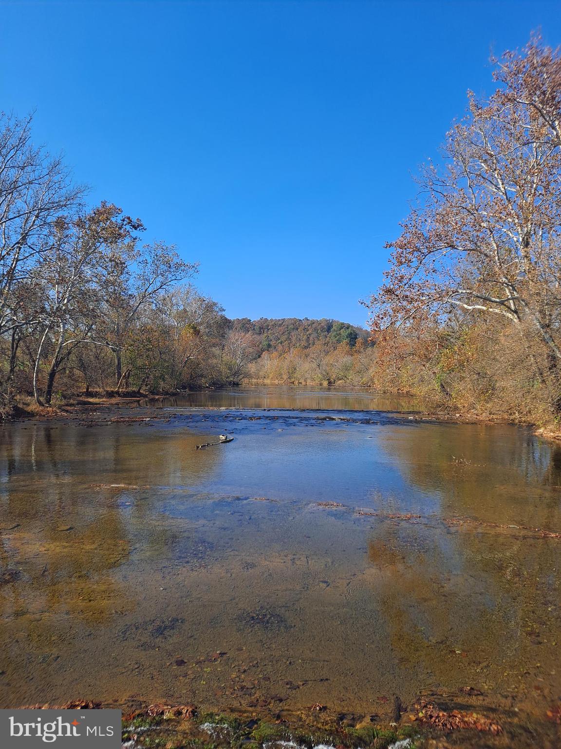Cedar Road Strasburg, VA 22657 - Photo 37 of 41