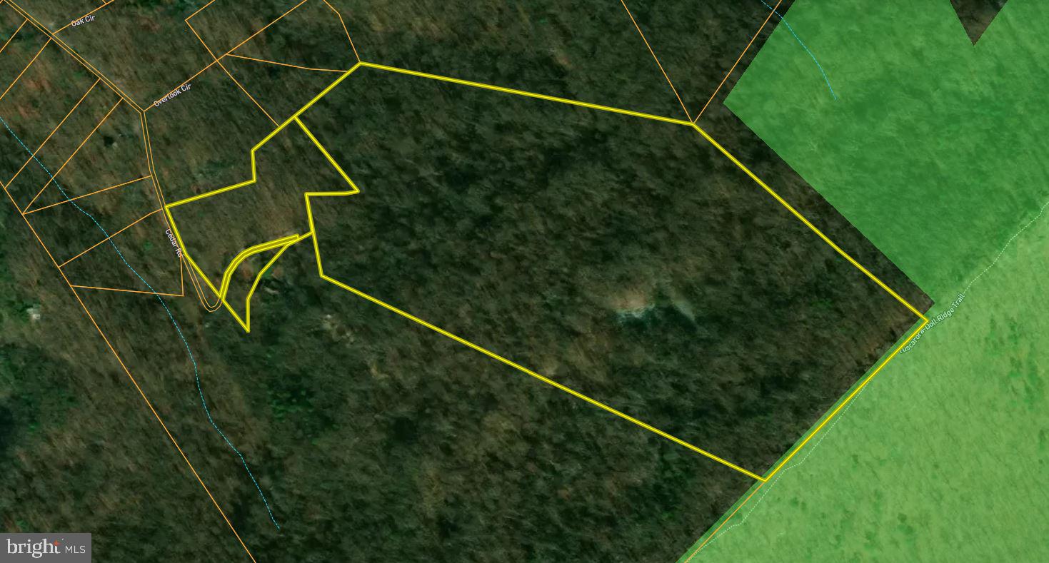 Cedar Road Strasburg, VA 22657 - Photo 38 of 41