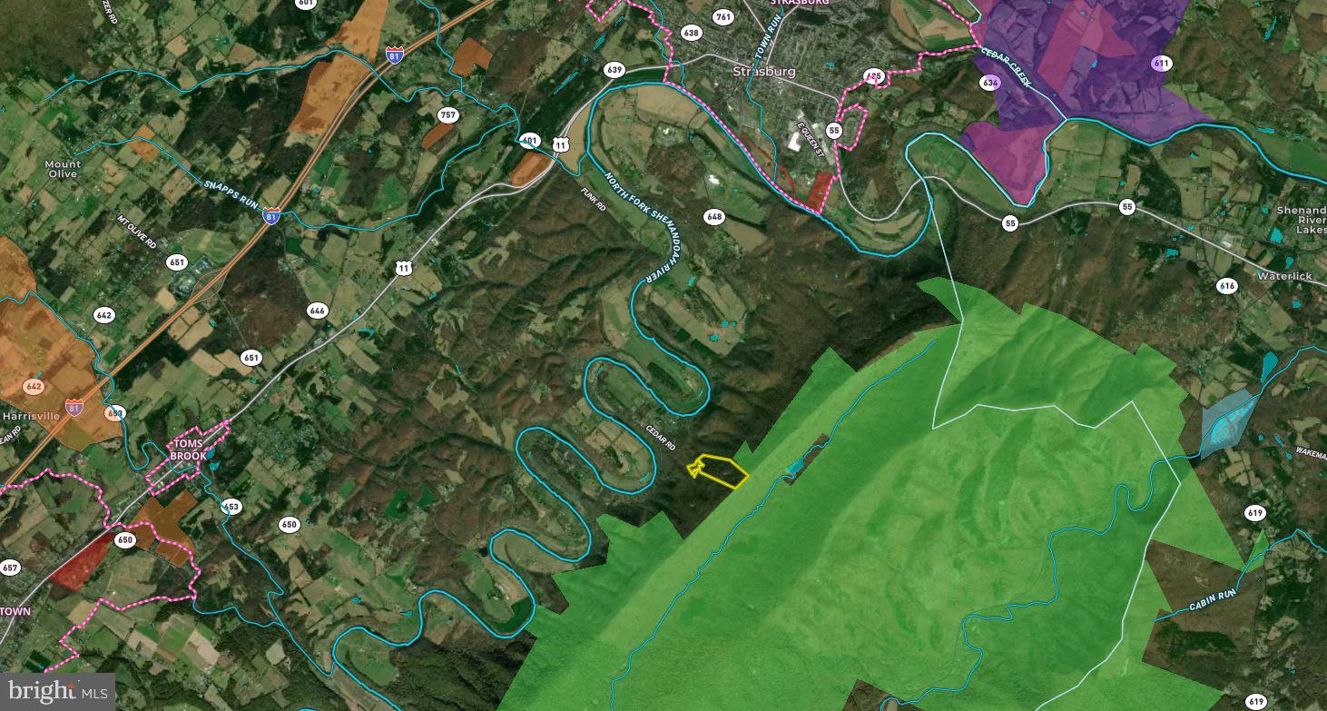 Cedar Road Strasburg, VA 22657 - Photo 39 of 41