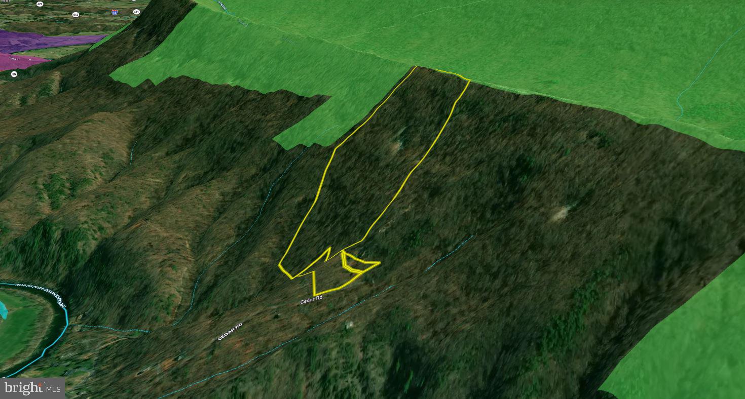 Cedar Road Strasburg, VA 22657 - Photo 40 of 41