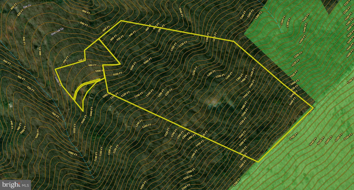 Cedar Road Strasburg, VA 22657 - Photo 41 of 41