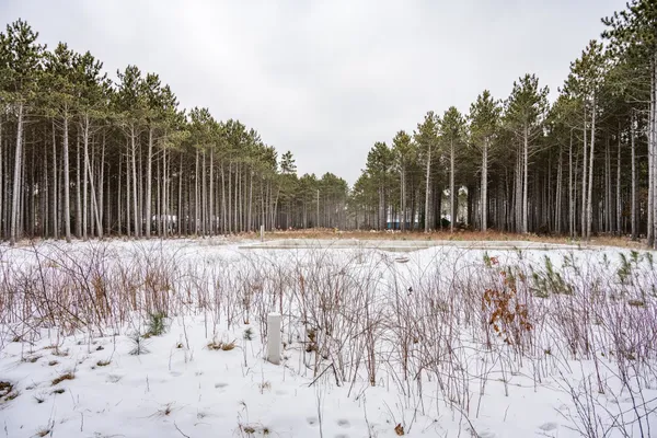 $999,000 | W4275 Mays, Necedah, WI 54646