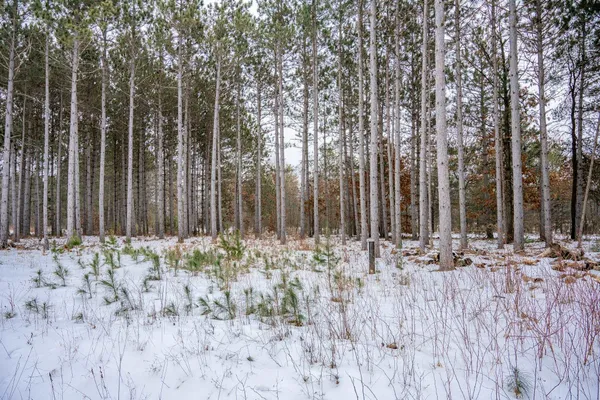 $999,000 | W4275 Mays, Necedah, WI 54646