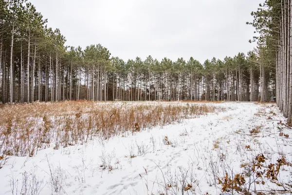 $999,000 | W4275 Mays, Necedah, WI 54646