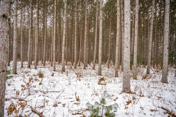 $999,000 | W4275 Mays, Necedah, WI 54646