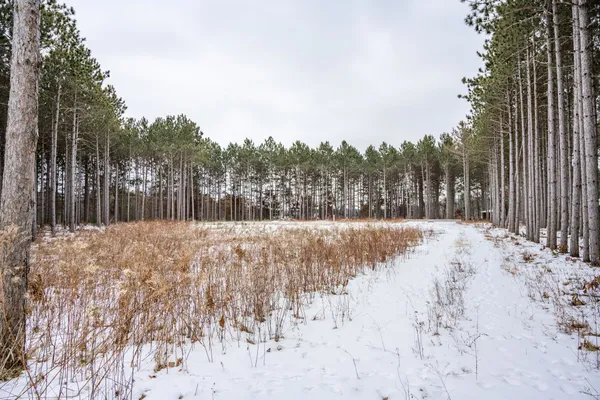 $999,000 | W4275 Mays, Necedah, WI 54646