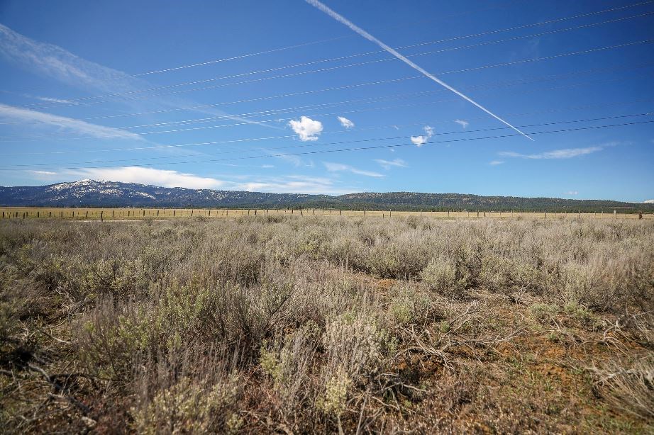 Lot 38 Nisula Road, Unit 38 McCall, ID 83638 - Photo 8 of 29