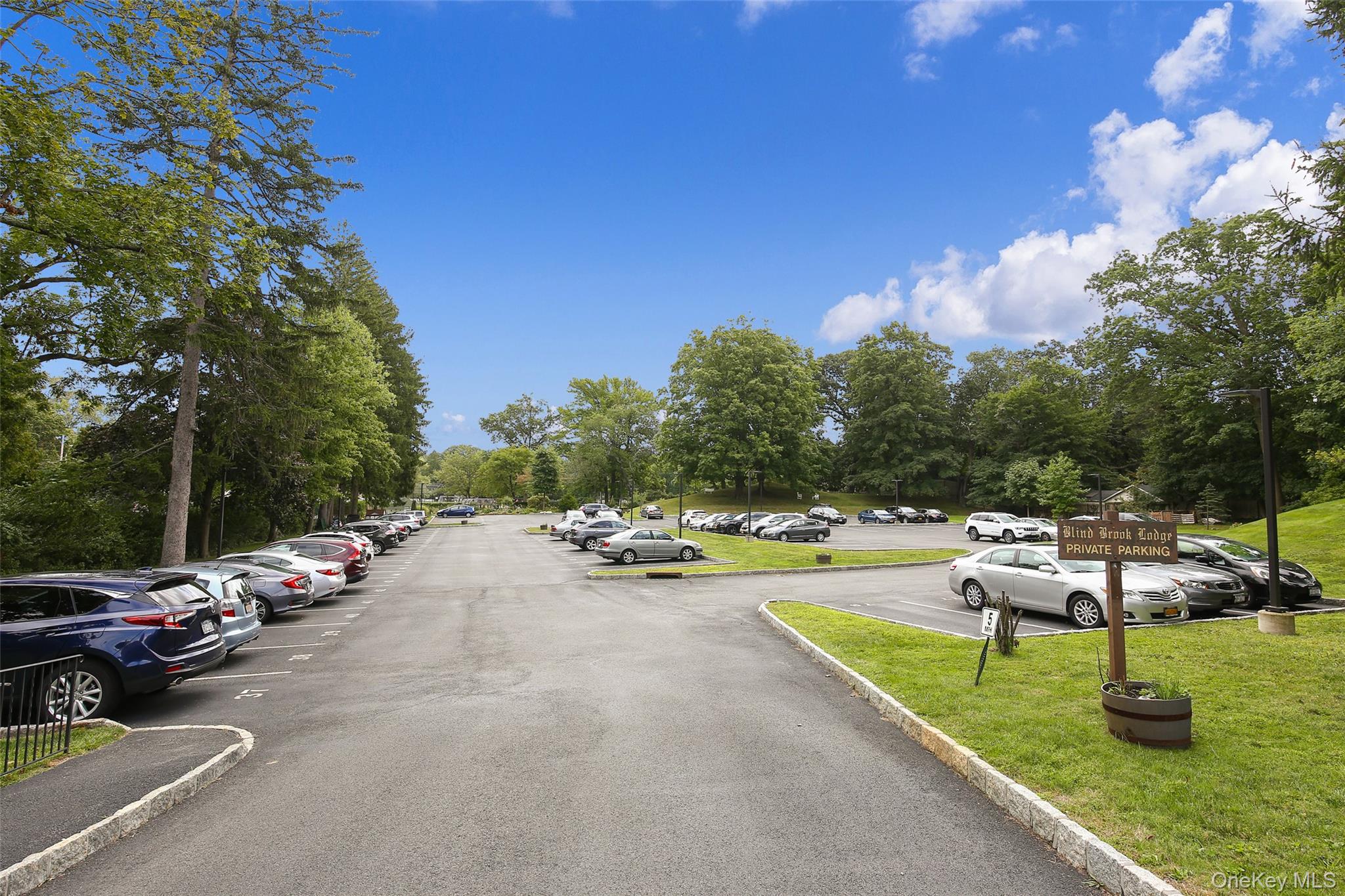 66 Milton Road, Unit A1 Rye, NY 10580 - Photo 14 of 17