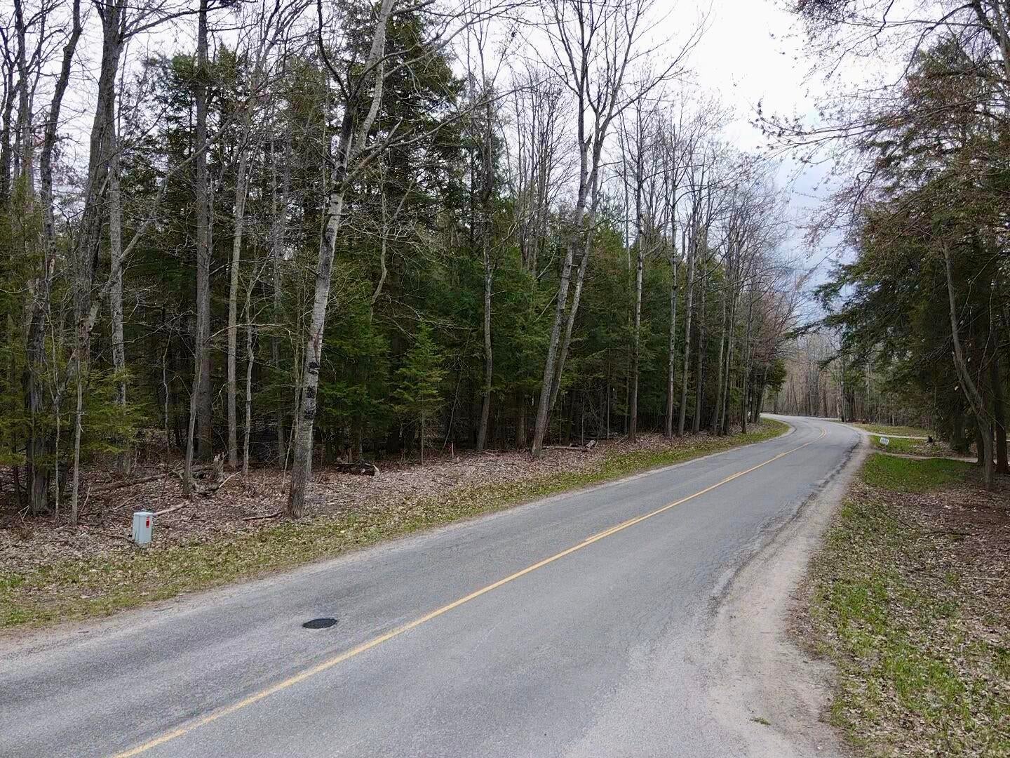 1 Needles Road Indian River, MI 49749 - Photo 9 of 12 2026-05-07-13-04-04-898