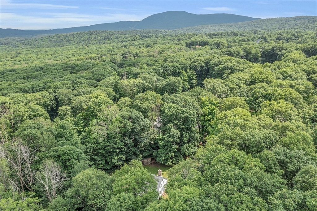 36 West Princeton Road Westminster, MA 01473 - Photo 39 of 42 a view of a lush green outdoor space with a mountain in the background