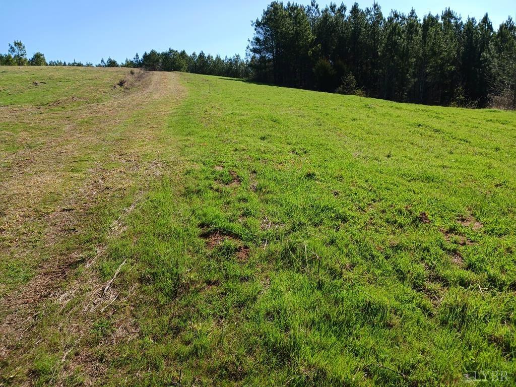 0 Lot 4 Saw Mill Road Farmville, VA 23901 - Photo 3 of 7 Gallery Image 3