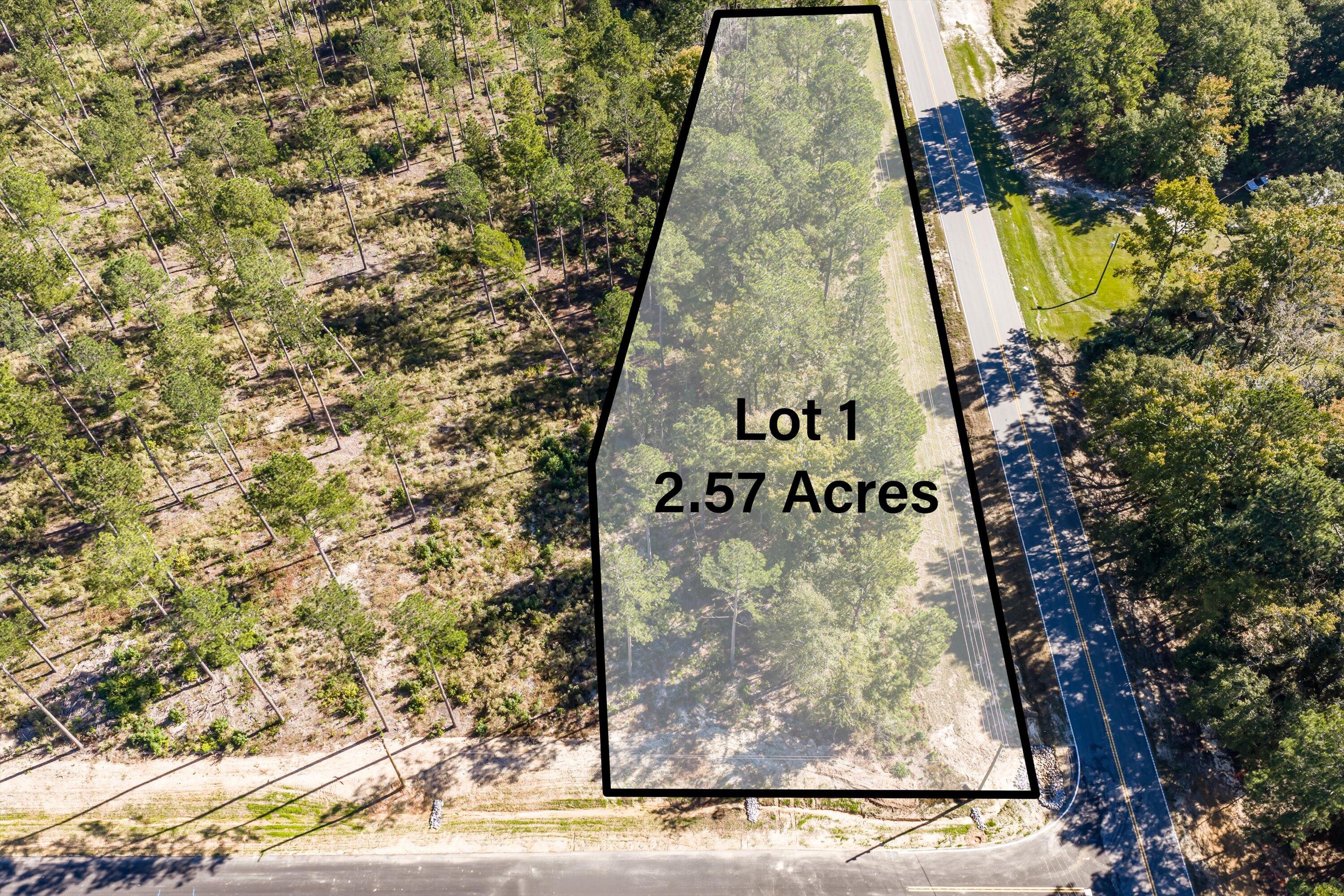 111 Beagle Chase Drive Appling, GA 30802 - Photo 1 of 6 06-Lot1_2_1