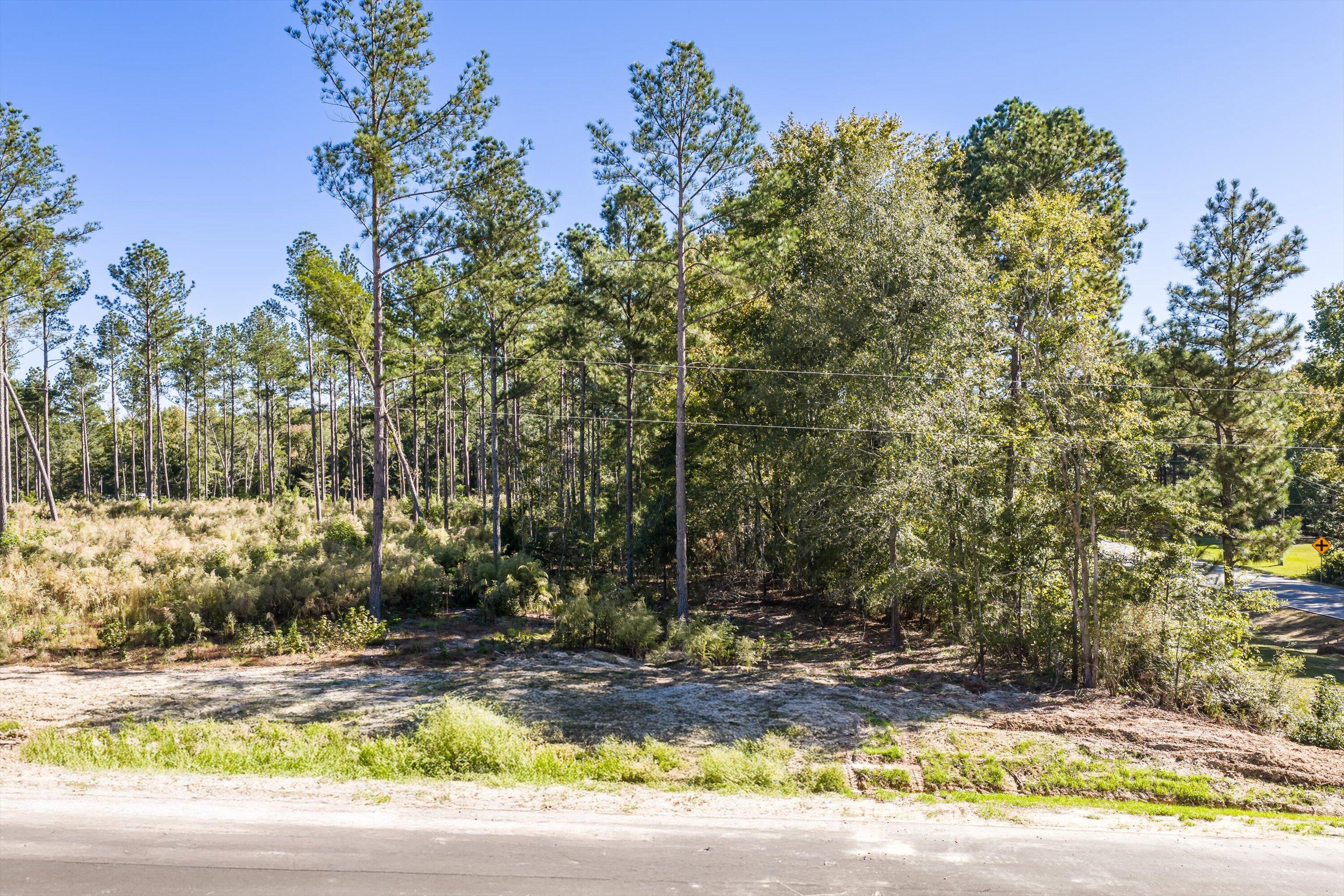 111 Beagle Chase Drive Appling, GA 30802 - Photo 5 of 6 04-Lot1