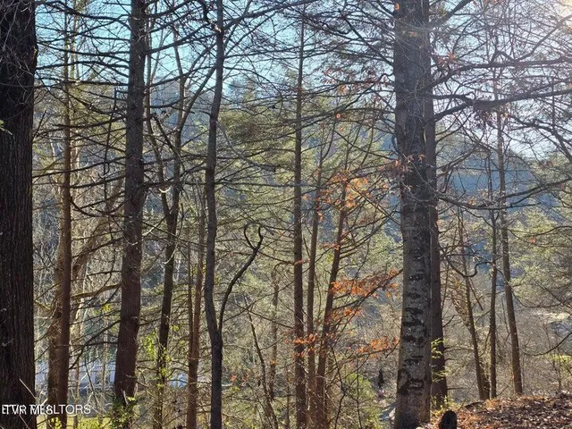 $239,500 | 4060 Tazewell Highway, Sneedville, TN 37869