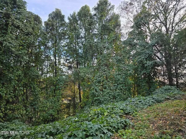 $239,500 | 4060 Tazewell Highway, Sneedville, TN 37869