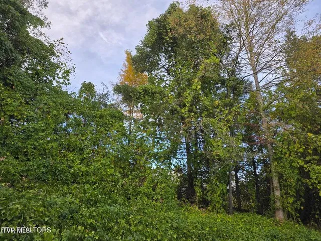 $239,500 | 4060 Tazewell Highway, Sneedville, TN 37869