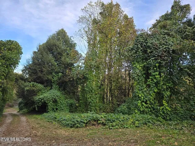 $239,500 | 4060 Tazewell Highway, Sneedville, TN 37869