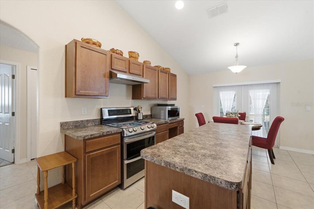 13407 Bondstone Street Spring Hill, FL 34609 - Photo 21 of 48