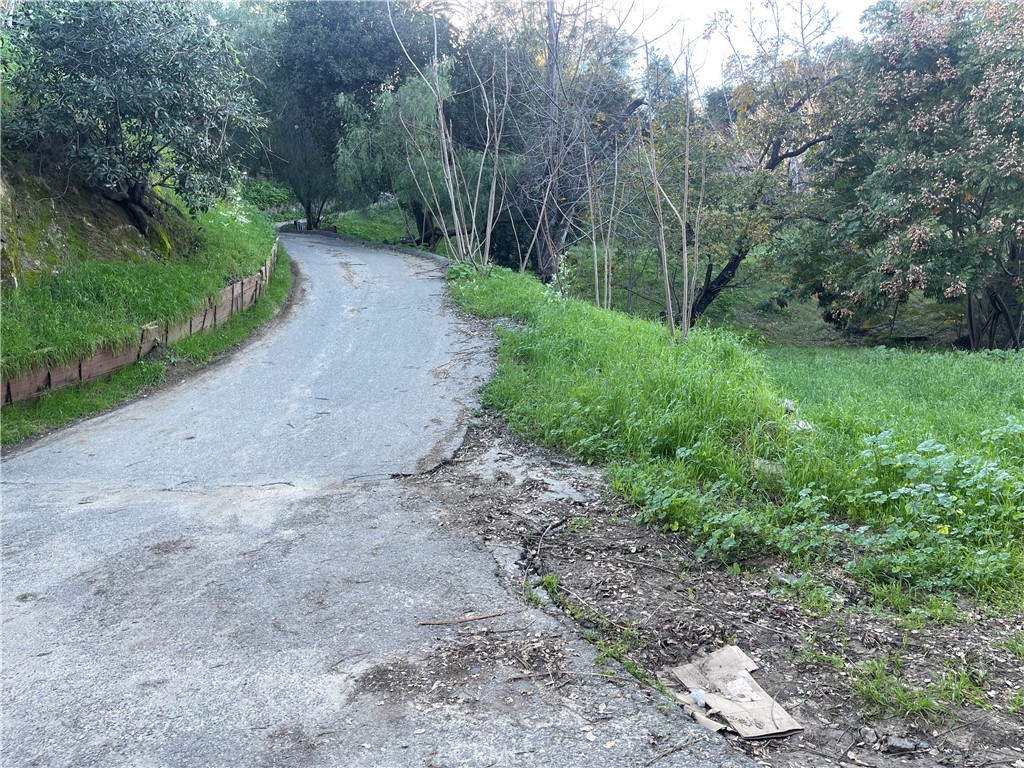 a view of a yard with large trees