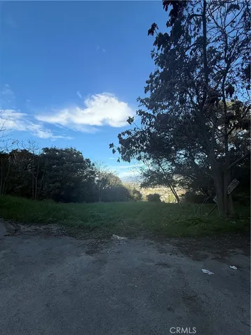 a view of a field with trees in background