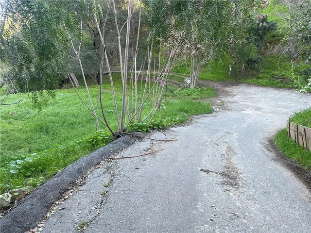a view of a park with plants and large trees