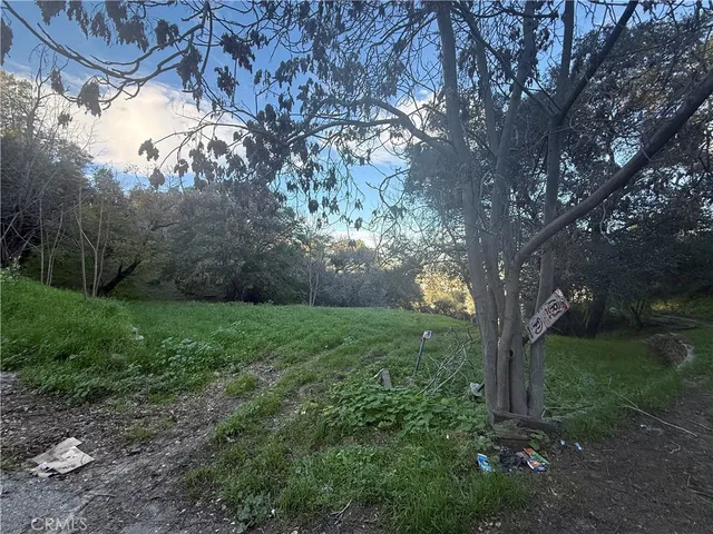 a view of a yard with a tree