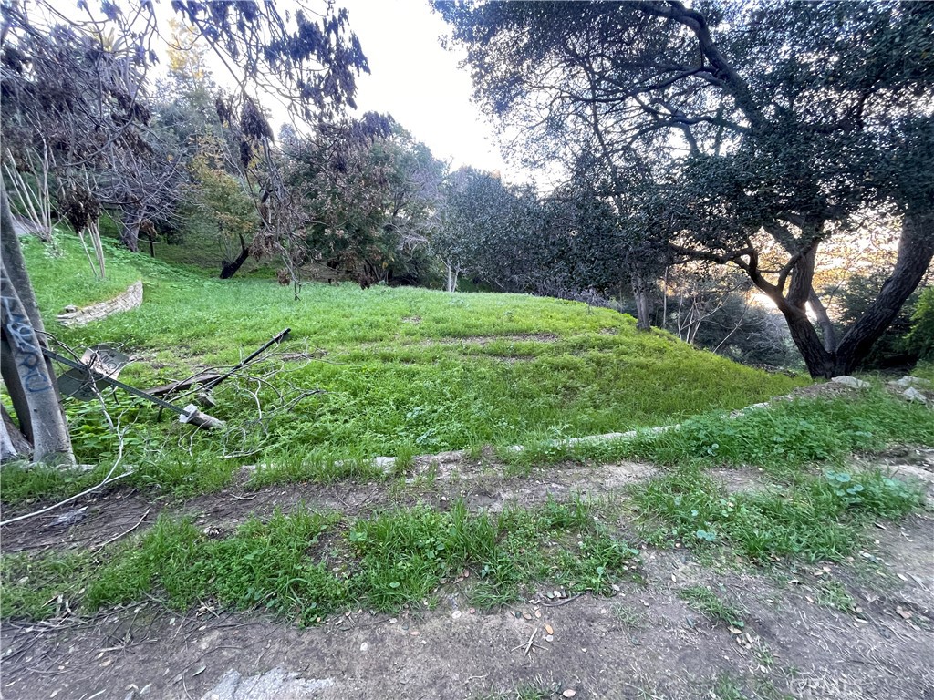 1599 Landa Street Los Angeles, CA 90039 - Photo 6 of 8 a view of a garden with large trees