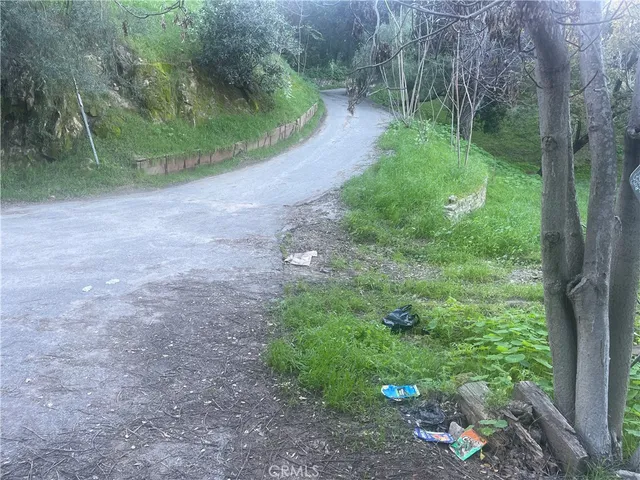 a view of a trees in a yard