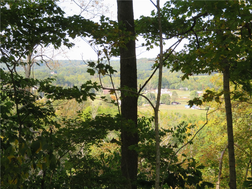 748 Inlow Avenue Peebles, OH 45660 - Photo 59 of 61 This verdant landscape showcases a tranquil vista of distant homes nestled among rolling hills.