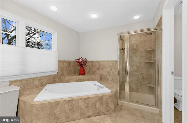 a view of a park with bench and trees