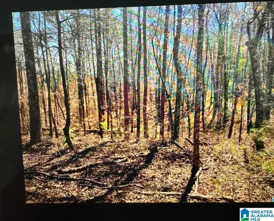 $79,900 | 4809 Laurel Trace, Unit 7, Anniston, AL 36207