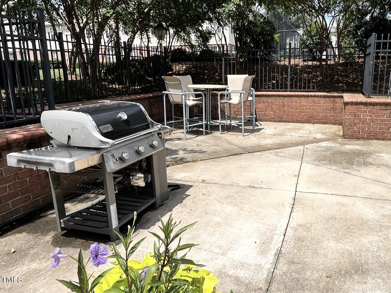 2520 Friedland Place, Unit 200 Raleigh, NC 27617 - Photo 13 of 30 Amenity - Grill