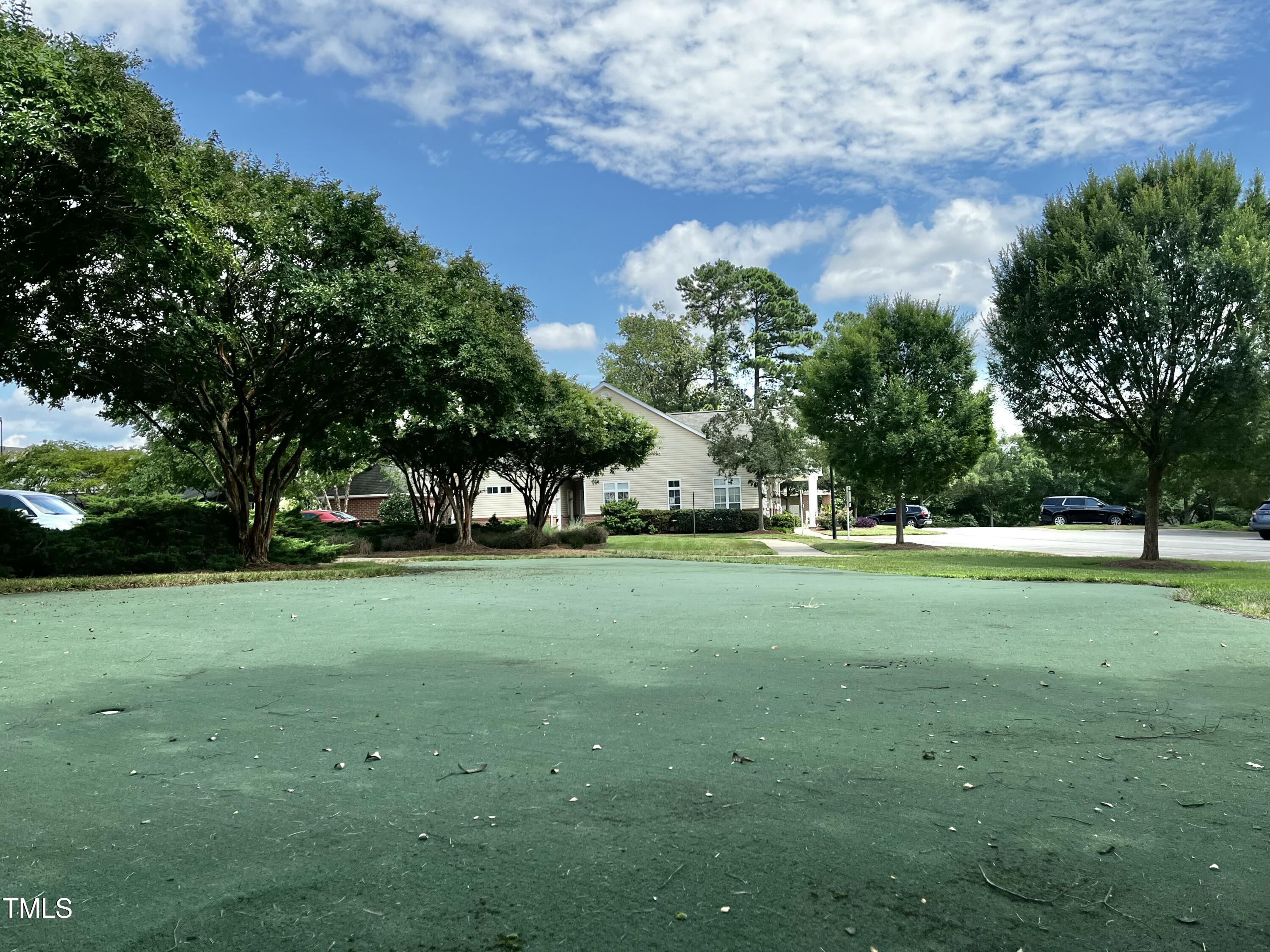 2520 Friedland Place, Unit 200 Raleigh, NC 27617 - Photo 18 of 30 Amenity - Putting Green