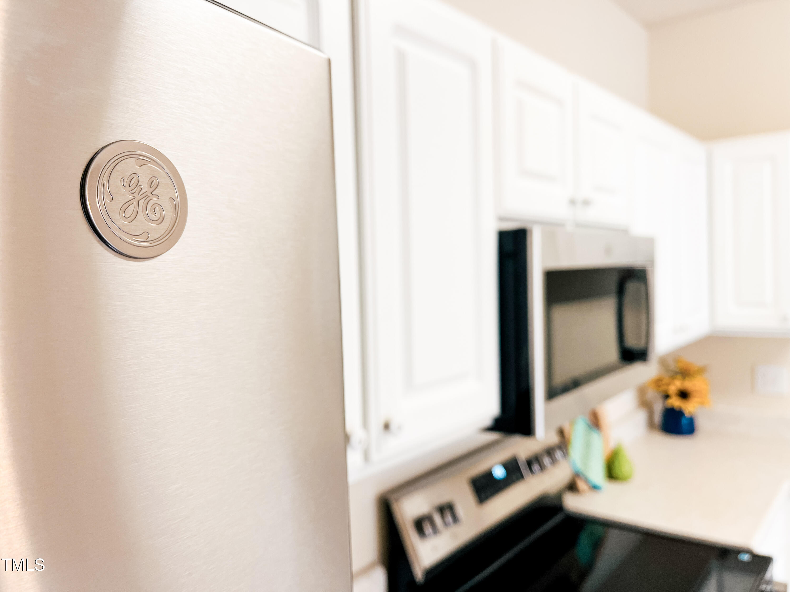 2520 Friedland Place, Unit 200 Raleigh, NC 27617 - Photo 25 of 30 Kitchen GE
