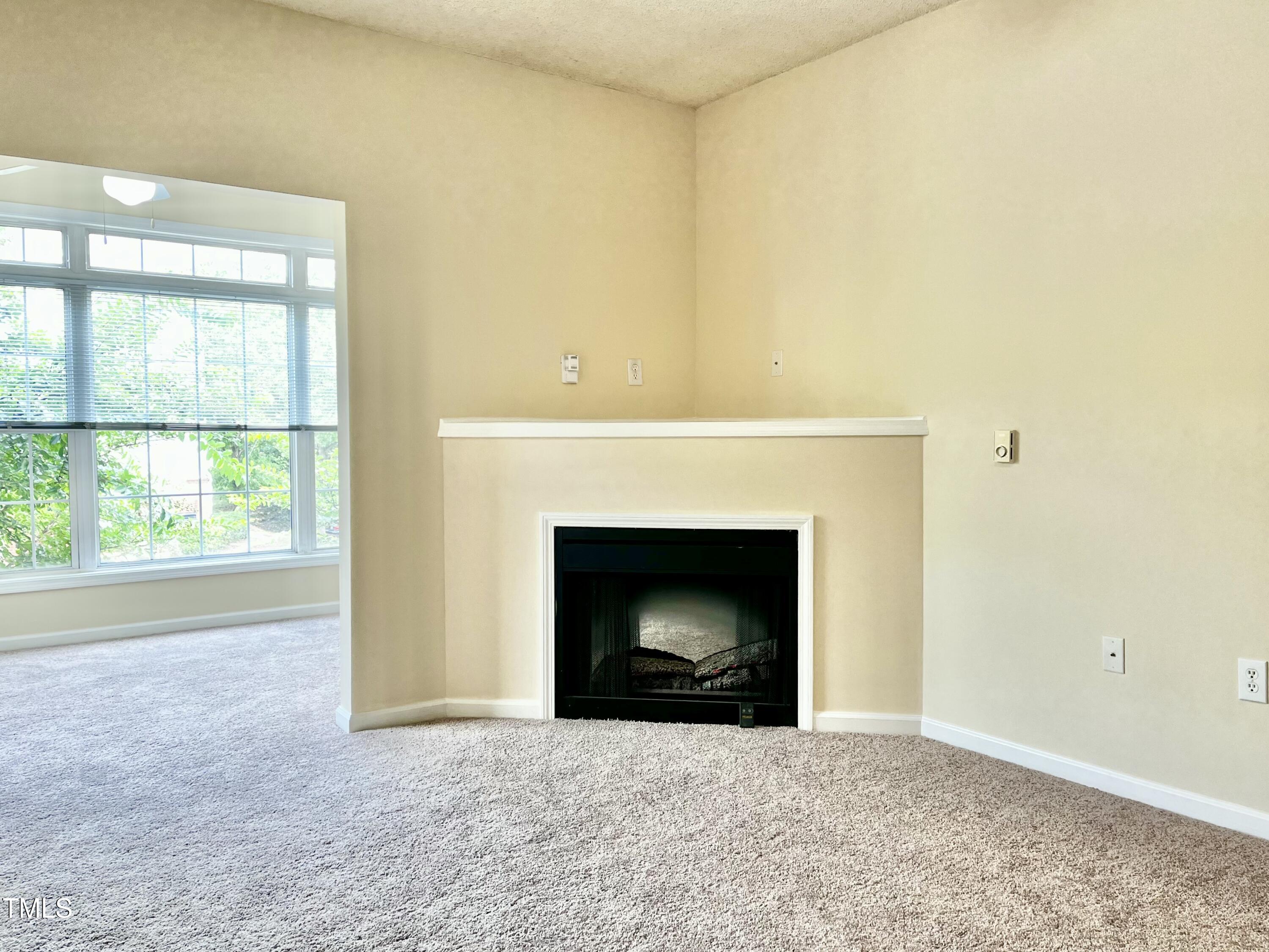 2520 Friedland Place, Unit 200 Raleigh, NC 27617 - Photo 9 of 30 LR Fireplace Sunroom
