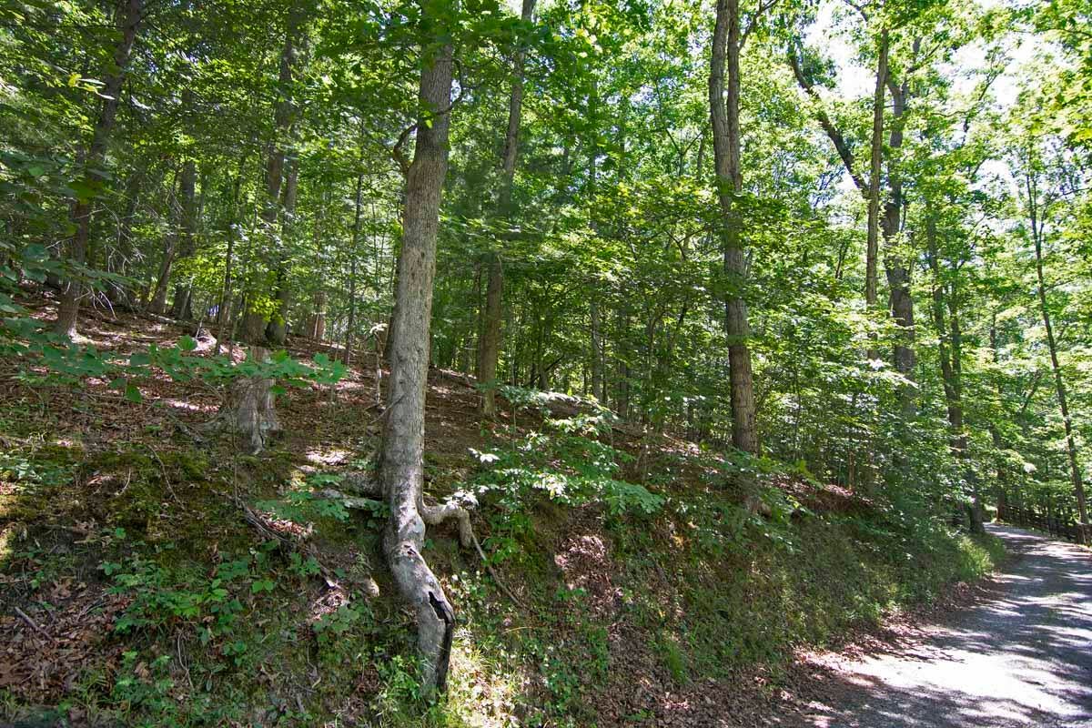 751-771 Lipps Road Lewisburg, WV 24901 - Photo 39 of 43 Gallery Image 39
