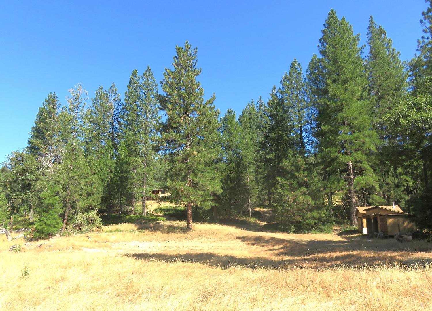 4426 Bald Mountain Road West Point, CA 95255 - Photo 6 of 45 a view of a yard with wooden fence