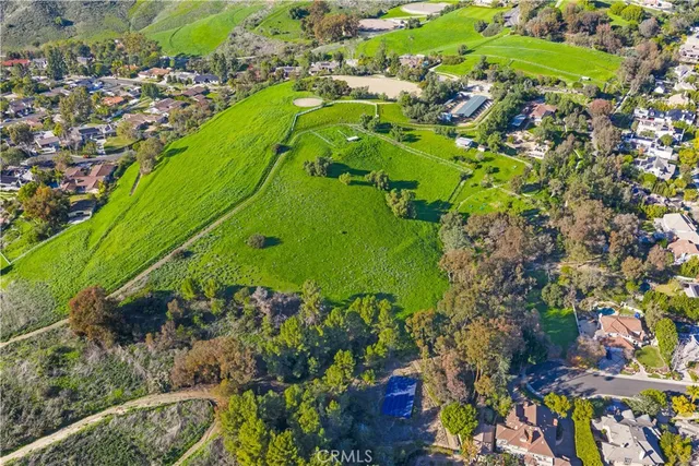 a view of a garden with plants