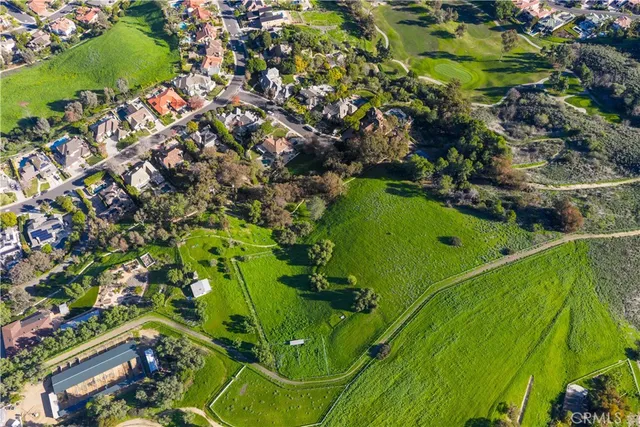 a view of a garden with plants