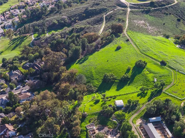 a view of a swimming pool with a yard and plants