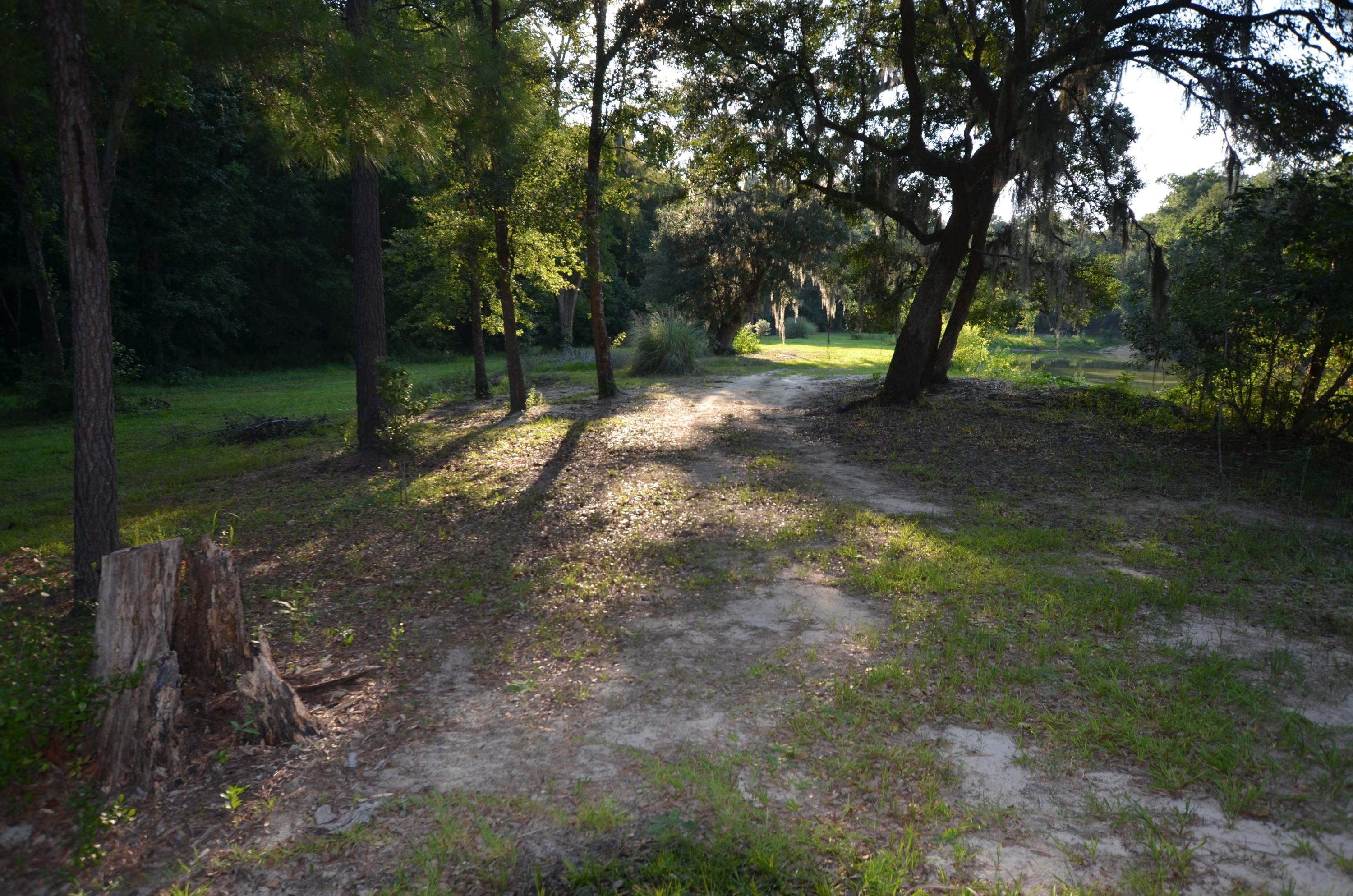 1189 County Rd S-22-476 Georgetown, SC 29440 - Photo 12 of 13 Road2