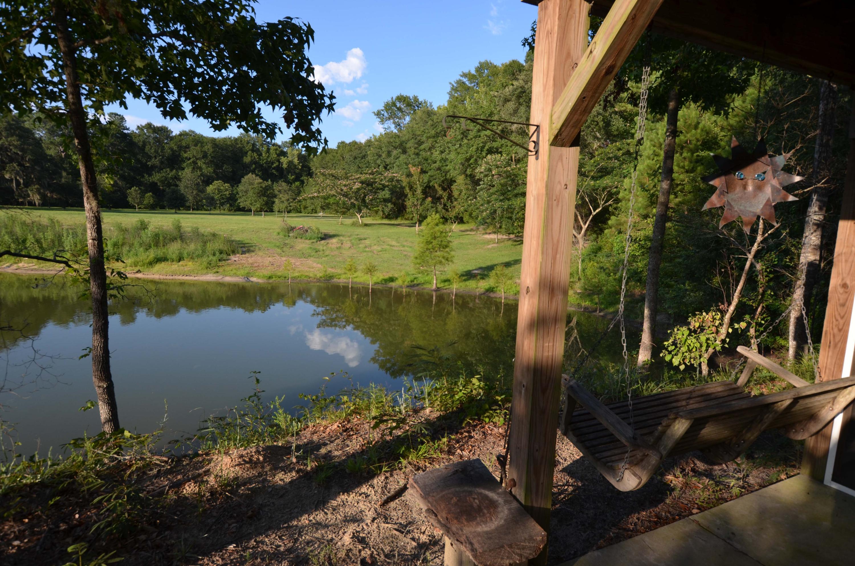 1189 County Rd S-22-476 Georgetown, SC 29440 - Photo 13 of 13 swing
