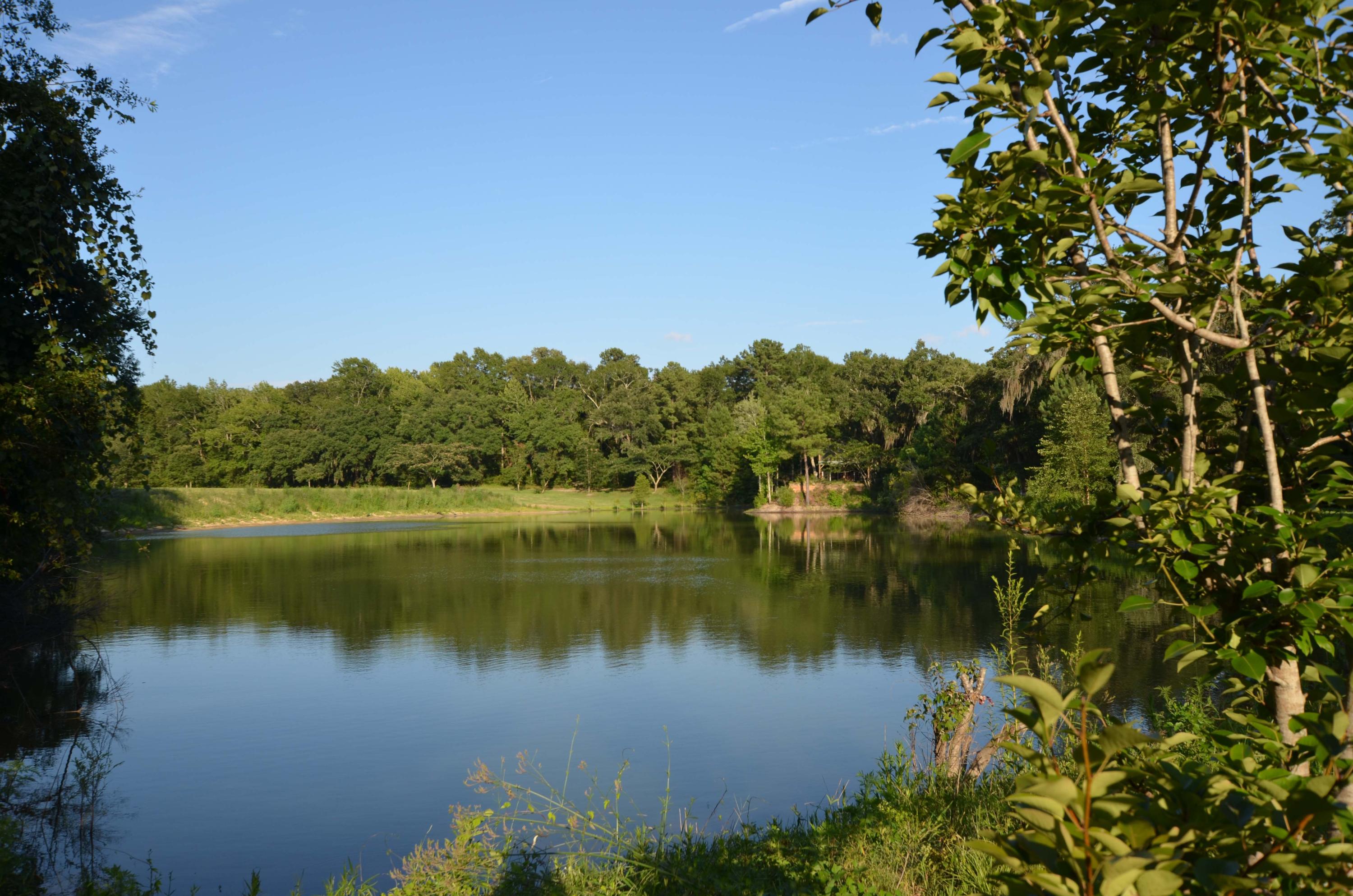 1189 County Rd S-22-476 Georgetown, SC 29440 - Photo 7 of 13 Pond1