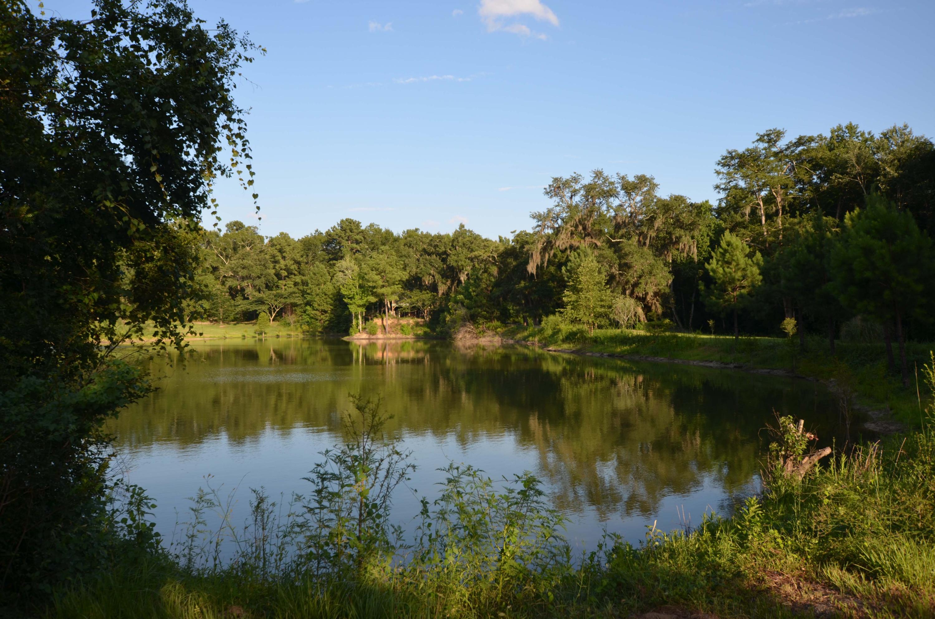 1189 County Rd S-22-476 Georgetown, SC 29440 - Photo 8 of 13 Pond2