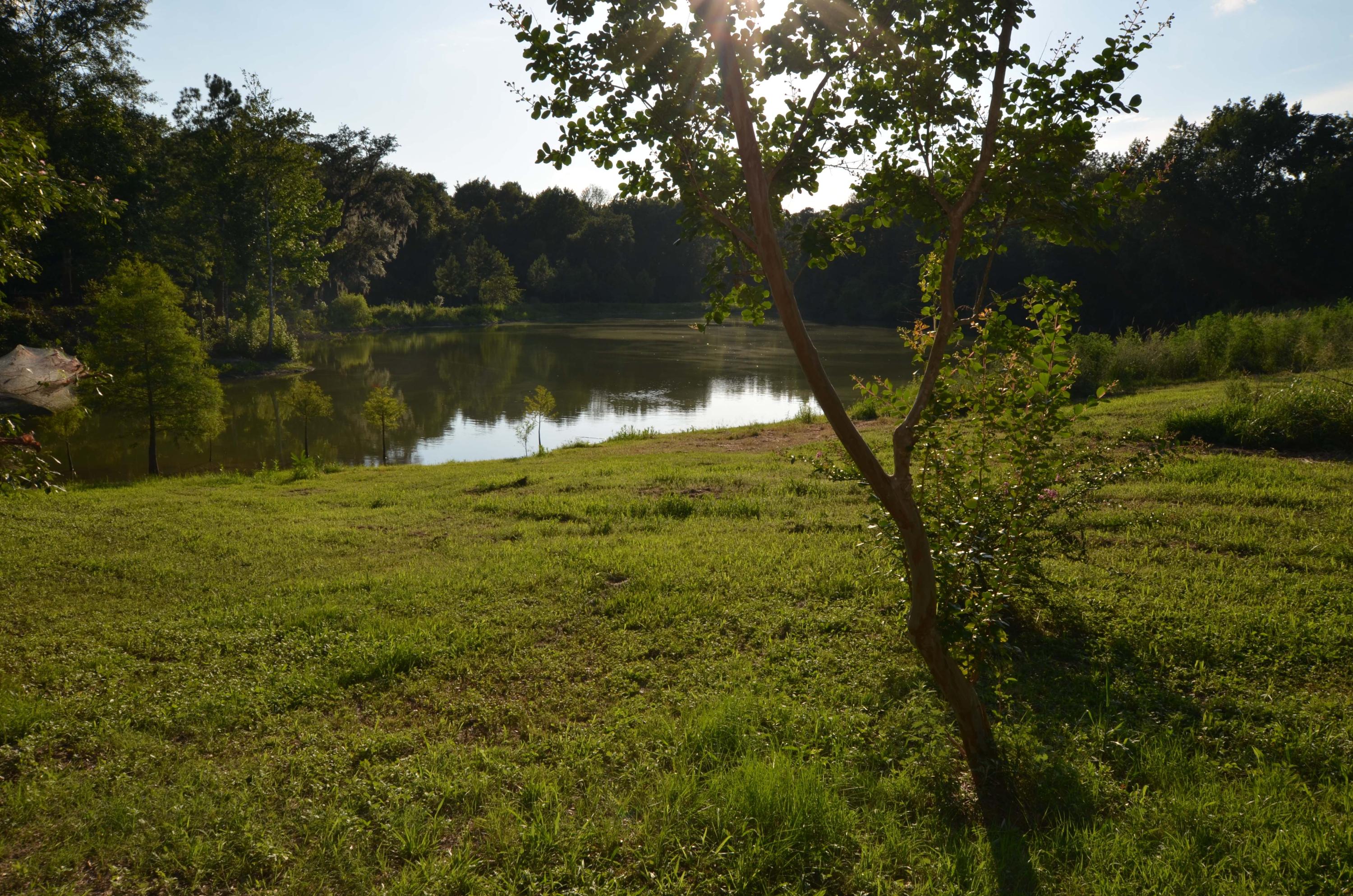 1189 County Rd S-22-476 Georgetown, SC 29440 - Photo 9 of 13 Pond3