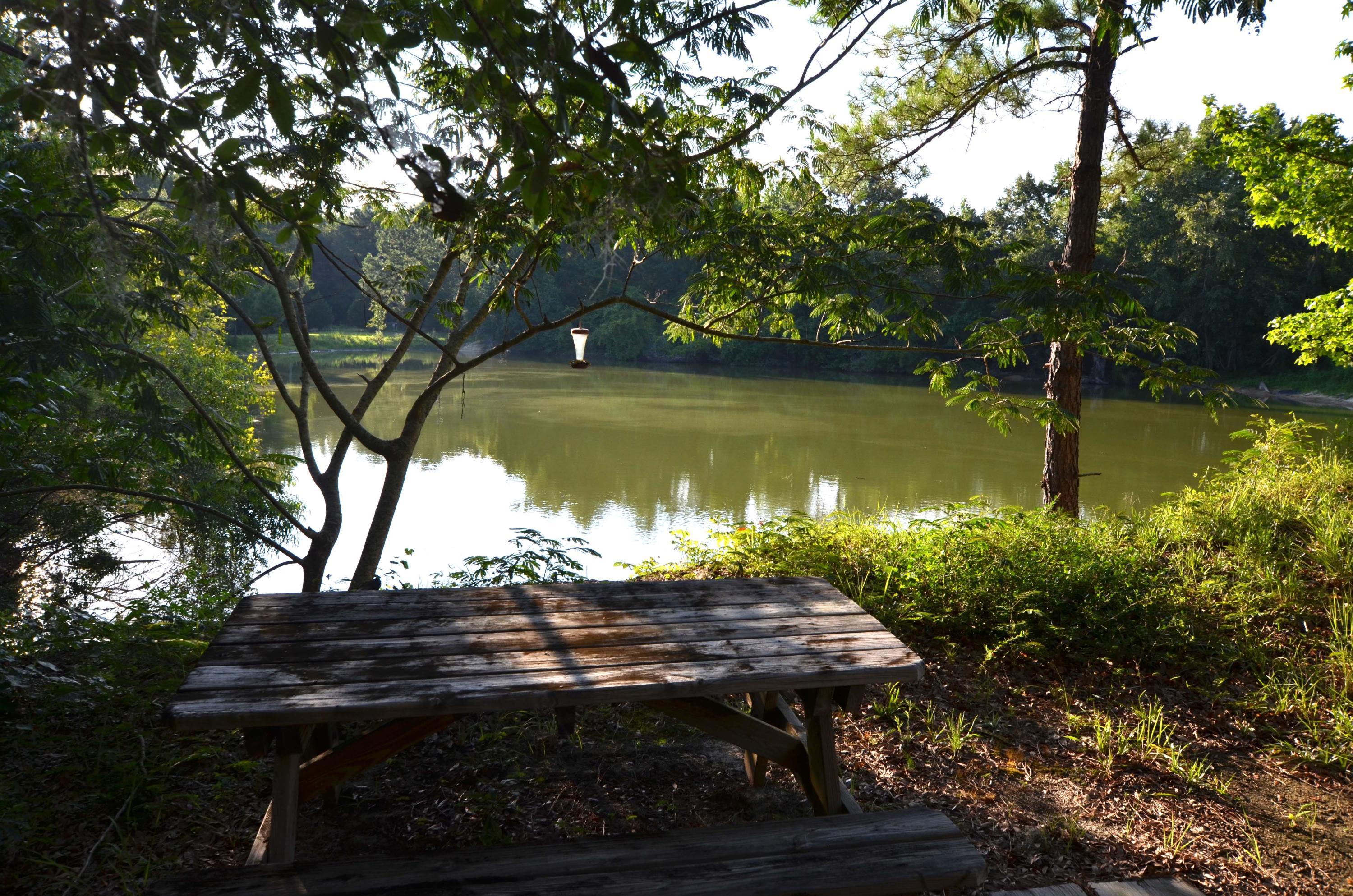 1189 County Rd S-22-476 Georgetown, SC 29440 - Photo 10 of 13 Pond4