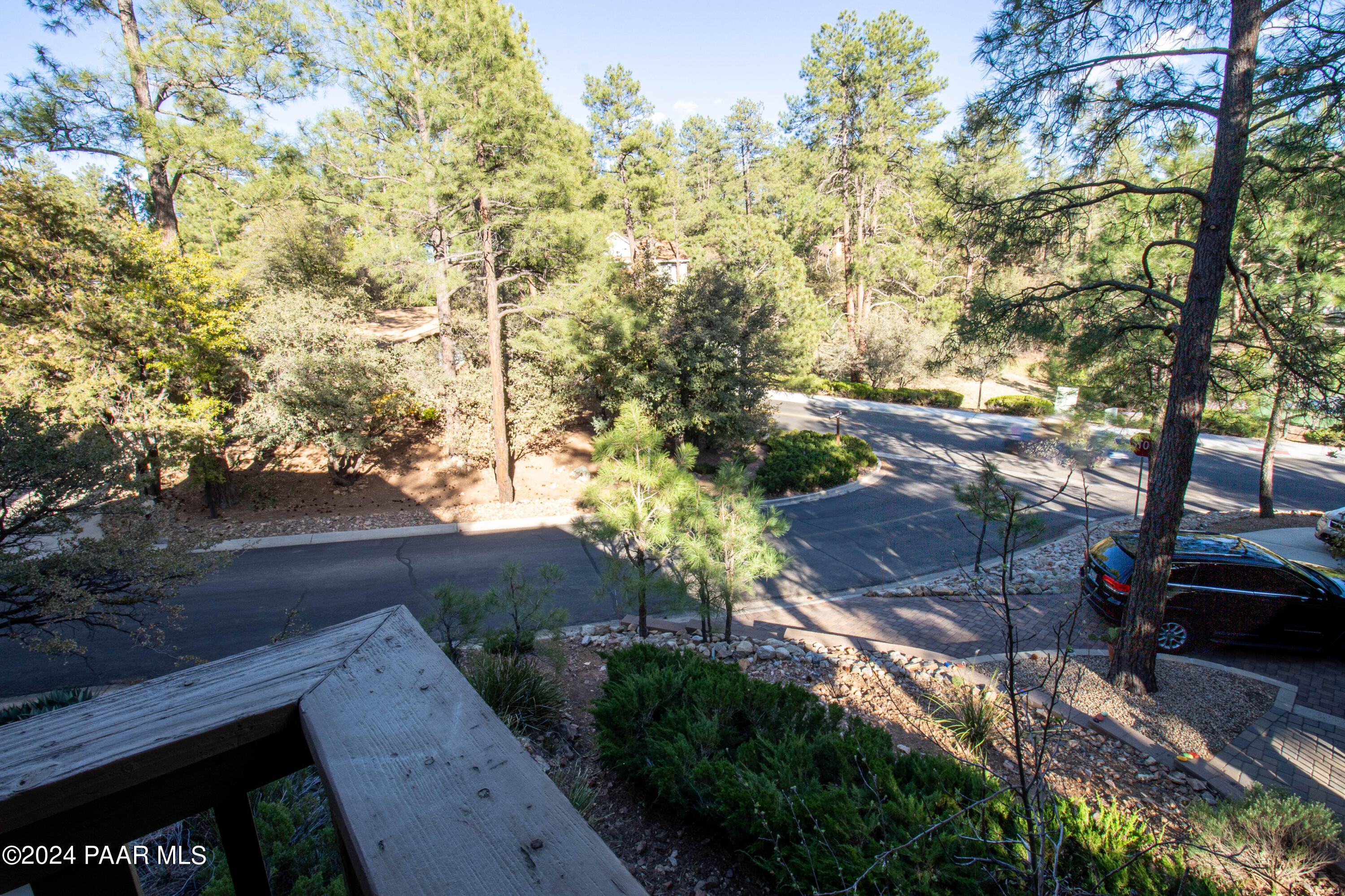 481 Turtleback Road Prescott, AZ 86303 - Photo 53 of 71 a view of a yard with plants and trees