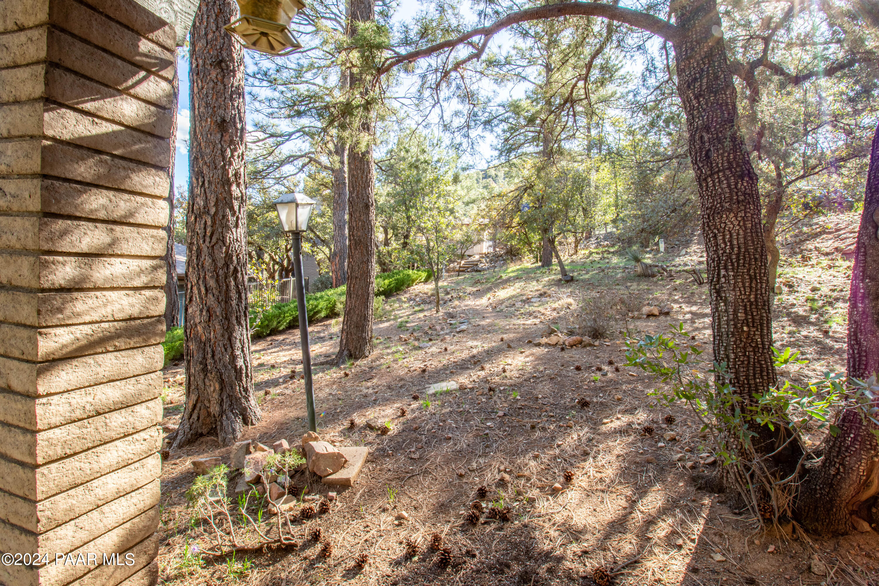 481 Turtleback Road Prescott, AZ 86303 - Photo 64 of 71 a view of a forest filled with trees