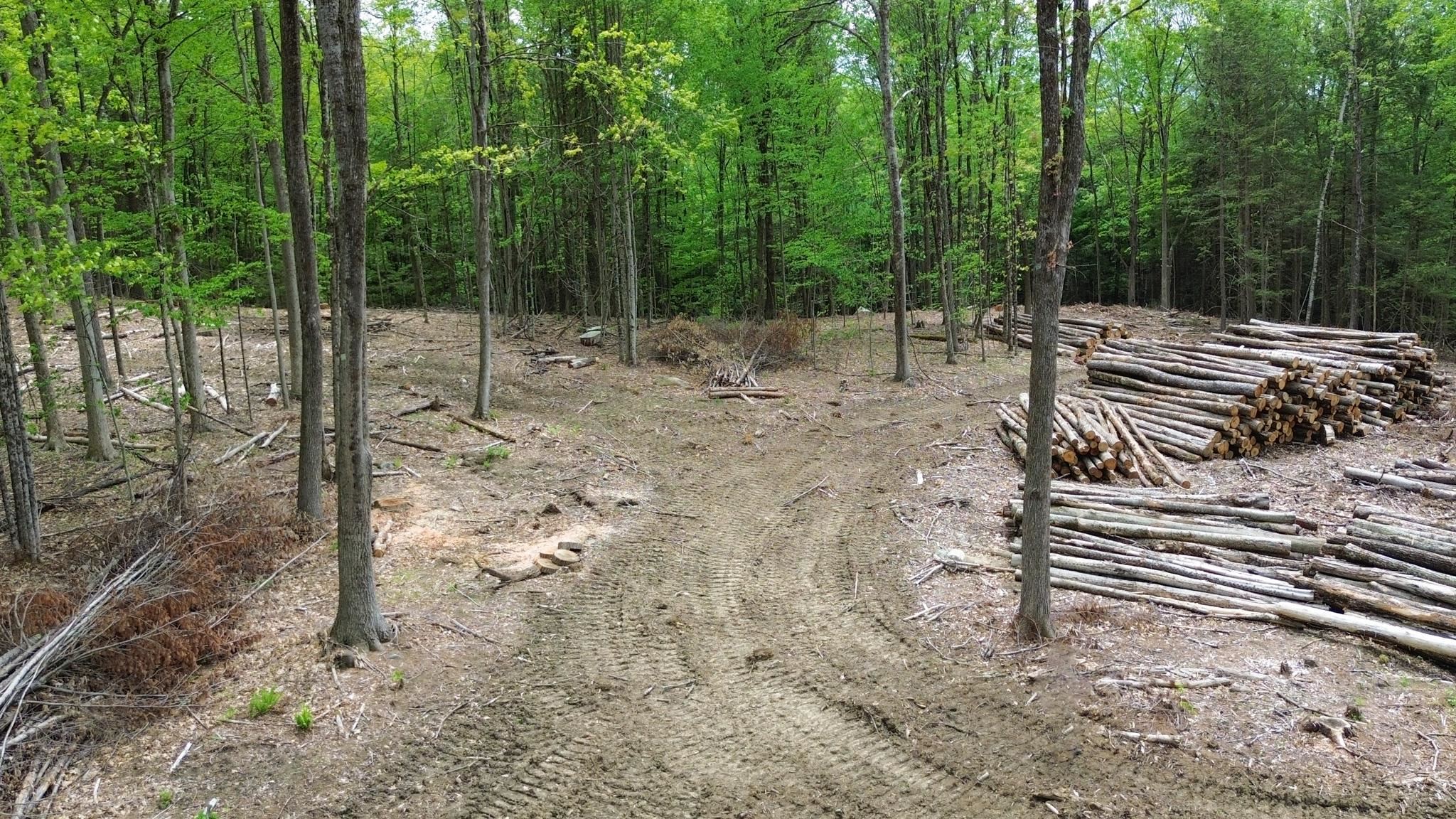 Lot 26-4 Plain Road Hinsdale, NH 03451 - Photo 5 of 28