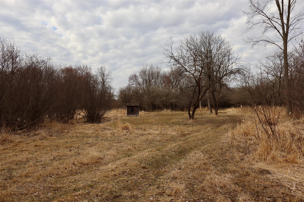 11048 Wilson Road Lake City, MI 49651 - Photo 67 of 89 Gallery Image 67